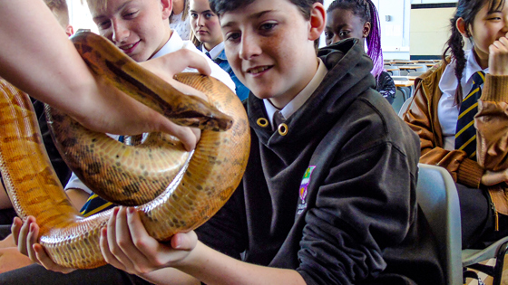 Biomimicry show by Zoolab and EUK Education