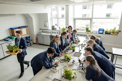 Several pupils and one teacher working around a science bench in a school classroom. The students are working with scientific equipment such as microscopes. They are studying different plants, 