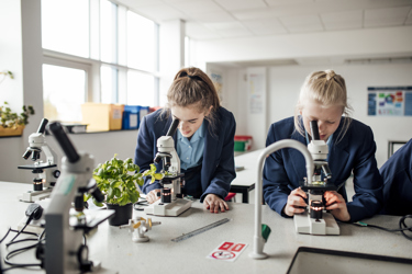 Two young people in a school science laboratory. They are at a bench looking into microscopes studying plants.