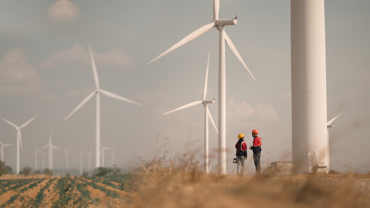 Two people in hard hats and protective clothing stand in a field of wind turbines. 